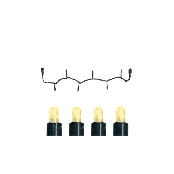 Ljusslinga Star Trading Start System Expo