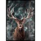 Poster Gallerix Majestic Deer