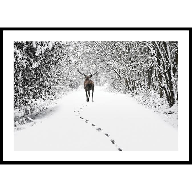 Poster Gallerix Deer Forest Walk