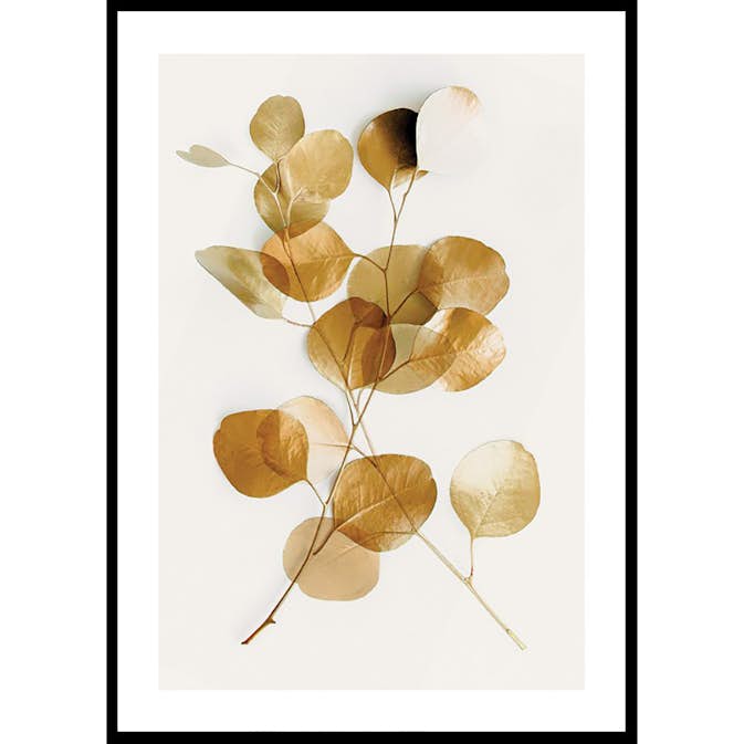 Poster Gallerix Eucalyptus Gold No4