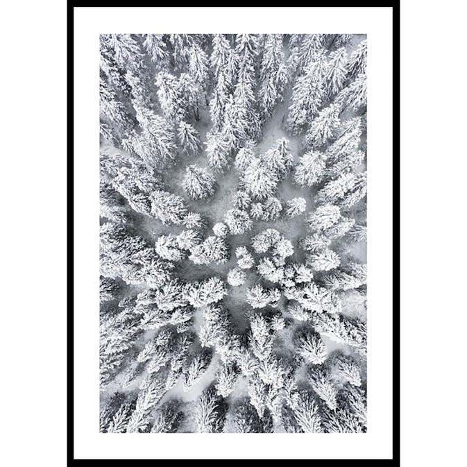 Poster Gallerix Snow Forest Aerial