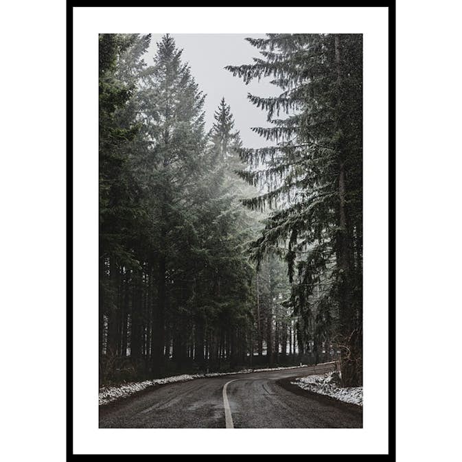 Poster Gallerix Deep Forest Road