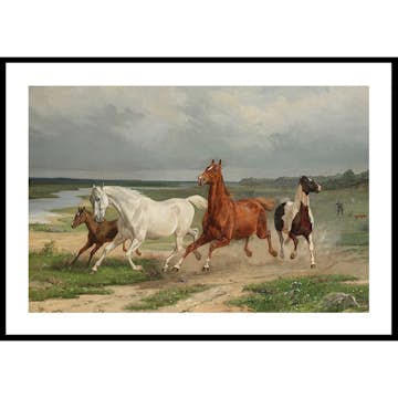 Poster Gallerix Flyende hästar By Arvid Fredrik Lönnroth