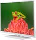 TV Procaster LE-32A500WH