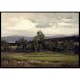 Poster Gallerix Fields At Hedmark In Summer By Gerhard Munthe
