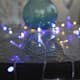 Ljusslinga Star Trading Serie LED Transparent
