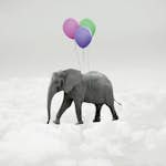 Tapet Idealdecor Elephant And Balloons