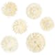 Torkade Creativ Company Blommor Dia. 3-5 Cm