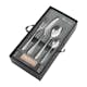 Bestickset Robert Welch Sandstone Blank 24 Delar