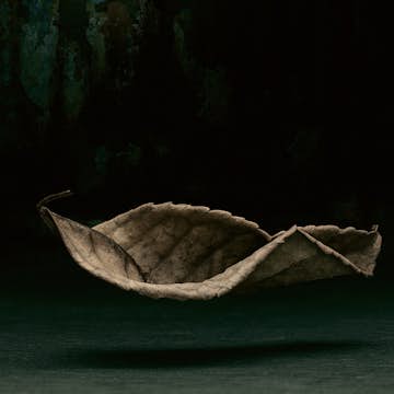 Tapet Idealdecor 3D Leaf