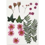 Torkade Creativ Company Blommor och Blad Ljusröd 19 Mix/1 Förp