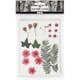 Torkade Creativ Company Blommor och Blad Ljusröd 19 Mix/1 Förp