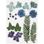 Torkade Creativ Company Blommor och Blad Blå 19 Mix/1 Förp