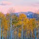 Tapet Idealdecor Birches And Mountains
