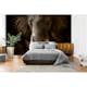 Tapet Idealdecor Elephant Ivory