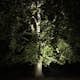 Markspot/Inground Lightson Castor