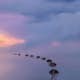 Tapet Idealdecor Wetland Sunrise