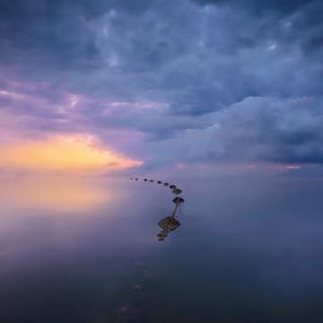 Tapet Idealdecor Wetland Sunrise