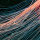 Tapet Idealdecor Jellyfish