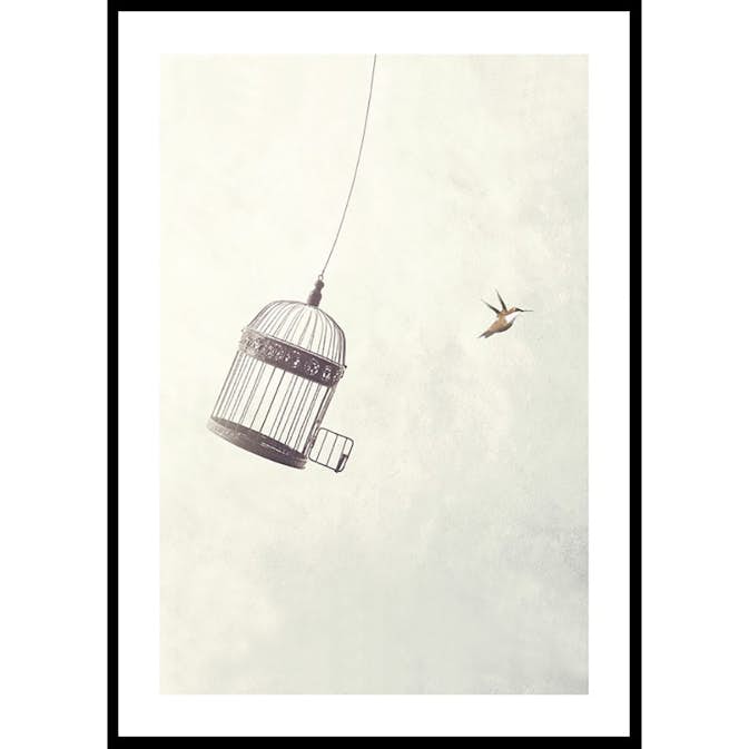 Poster Gallerix Flying Towards Freedom