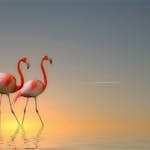 Tapet Idealdecor Flamingos 2