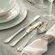 Bestickset Robert Welch Radford Blank 30 Delar