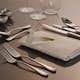 Bestickset Robert Welch Radford Blank 30 Delar