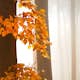 Tapet Idealdecor Foggy Autumn Forrest
