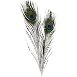 Påfågelfjädrar Creativ Company 10 st/1 Förp