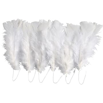 Fjädrar Dun Creativ Company Mixade Färger 11-17 cm 1 Förp Vit