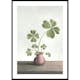 Poster Gallerix Four Leaf Clovers Luck
