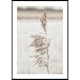 Poster Gallerix Boho Dried In Nature No7