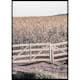 Poster Gallerix Dried Fields