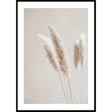 Poster Gallerix Boho Dried In Nature No6