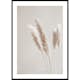 Poster Gallerix Boho Dried In Nature No6