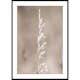 Poster Gallerix Boho Dried In Nature No4