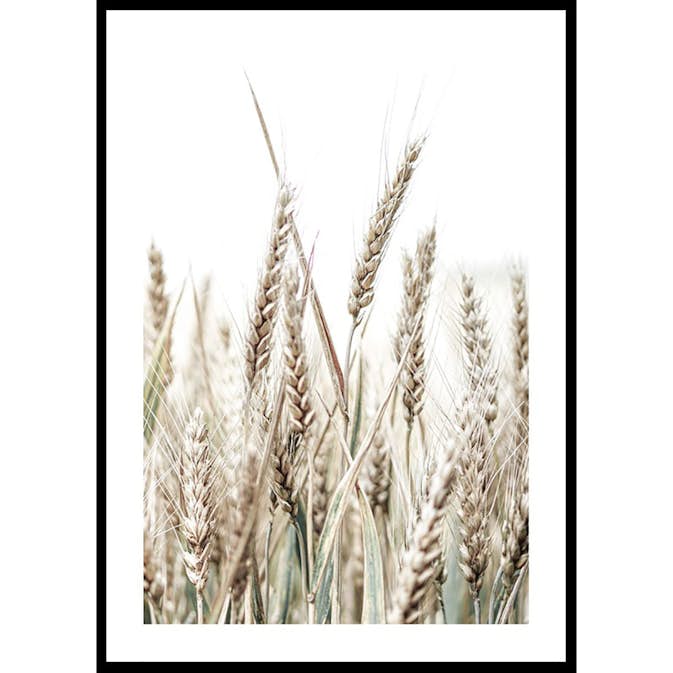Poster Gallerix Growing Wild