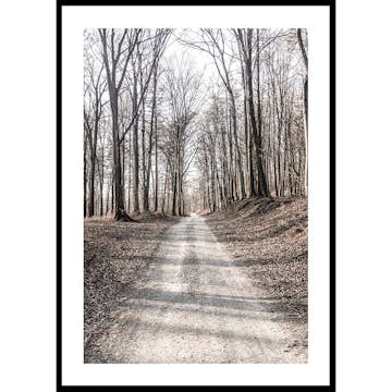 Poster Gallerix Gravel Road In Autumn Forest