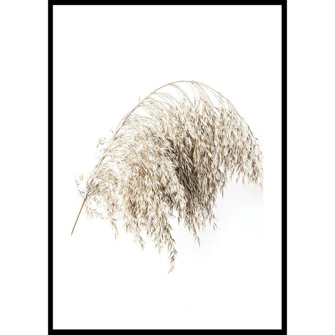 Poster Gallerix Boho Dried In Nature No2