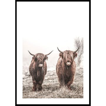 Poster Gallerix Scottish Highlanders No3