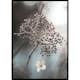 Poster Gallerix One Blossom
