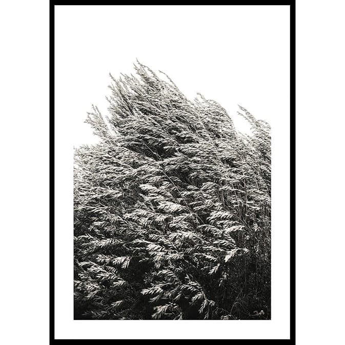 Poster Gallerix Bush Of Plants