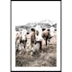 Poster Gallerix Cattle In Field