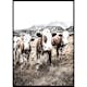 Poster Gallerix Cattle In Field
