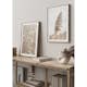 Poster Gallerix Dry Reeds No4