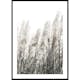 Poster Gallerix Wild Grass Tall