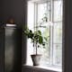 Taklampa PR Home Maple