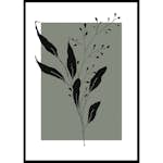 Poster Gallerix Botanical Sketch No1