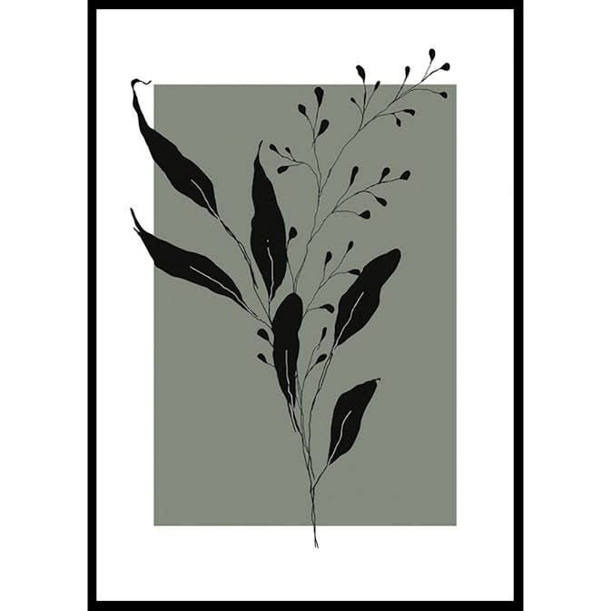 Poster Gallerix Botanical Sketch No1