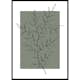 Poster Gallerix Botanical Sketch No2